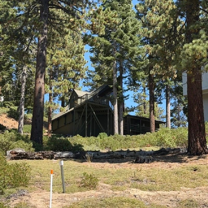 Modern Lakeview