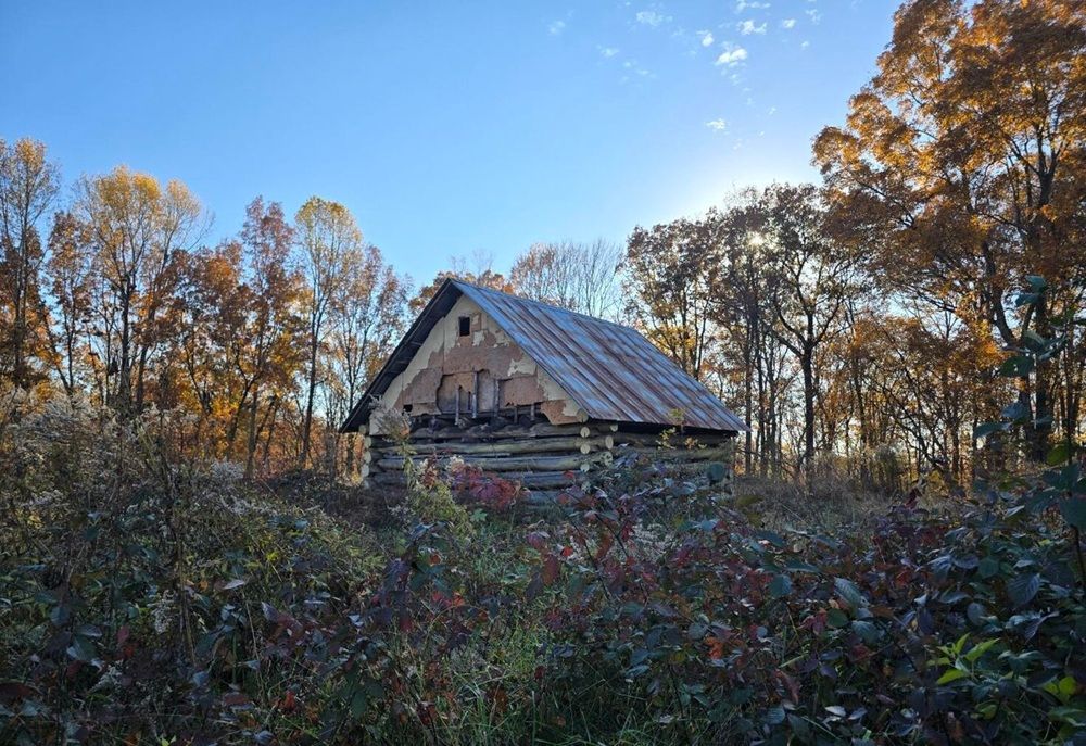 property-image-6
