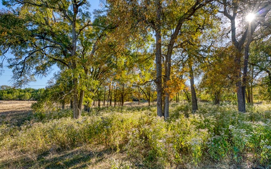 property-image-3