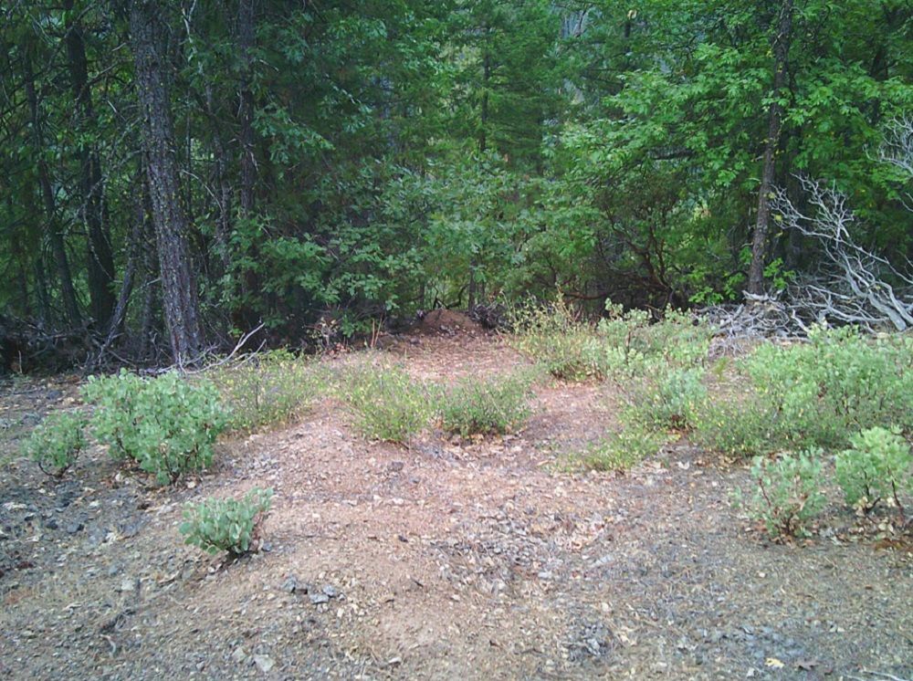 property-image-2