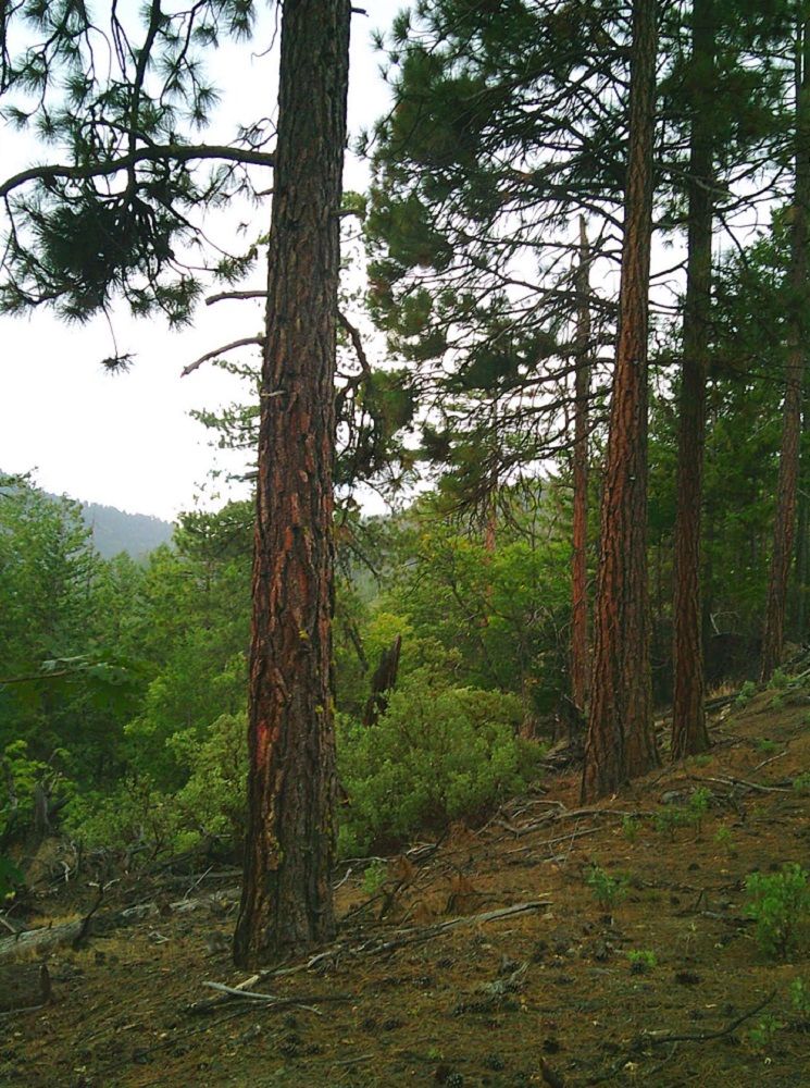 property-image-3