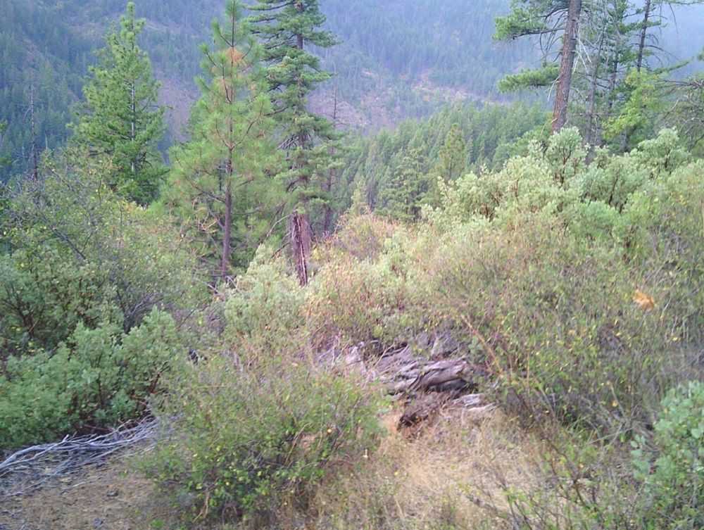 property-image-7