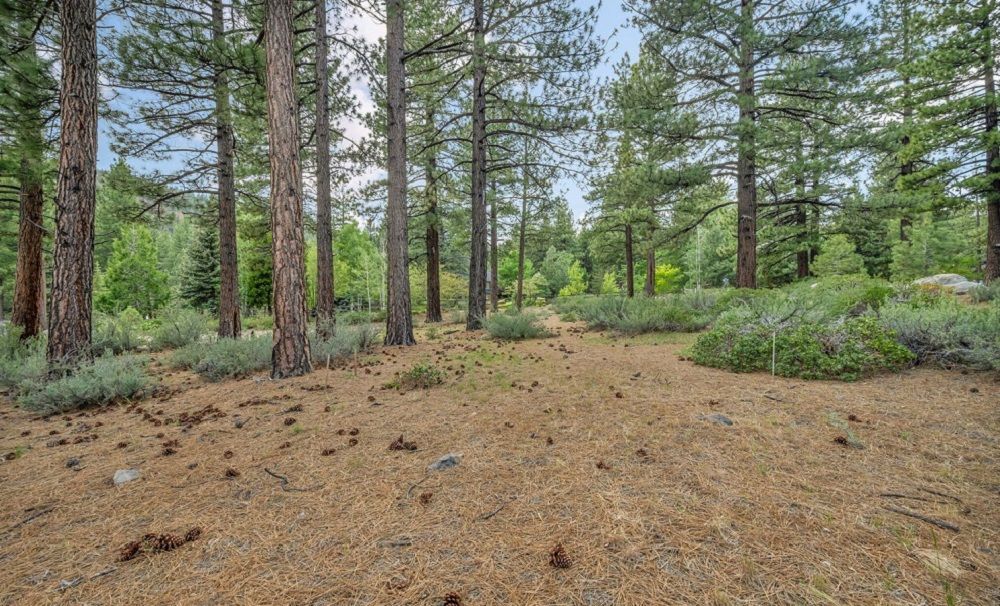 property-image-4