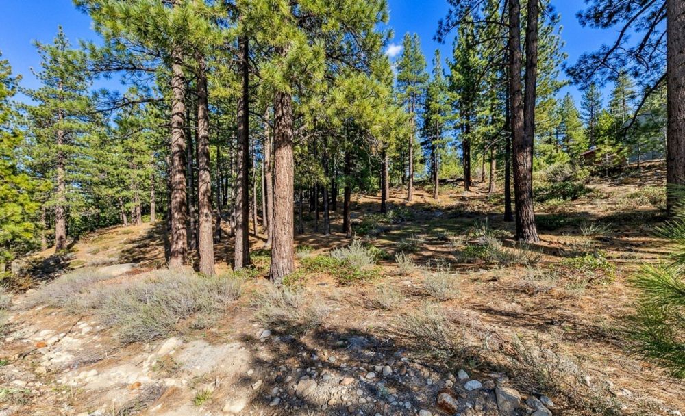 property-image-2