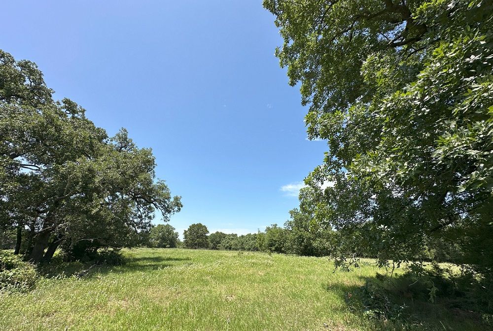 property-image-3