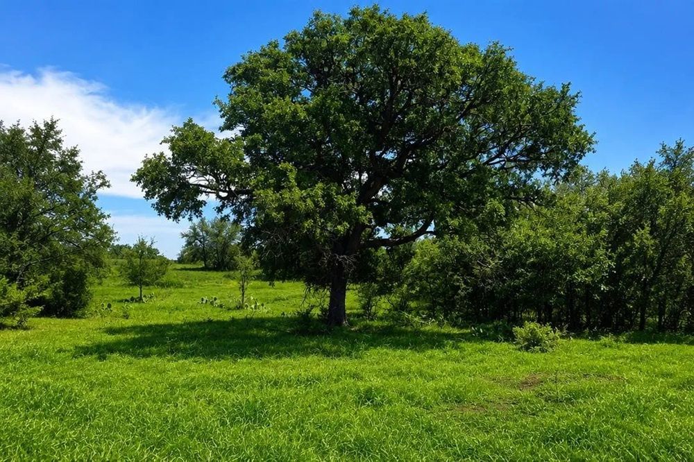 property-image-3