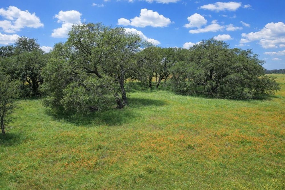 property-image-7