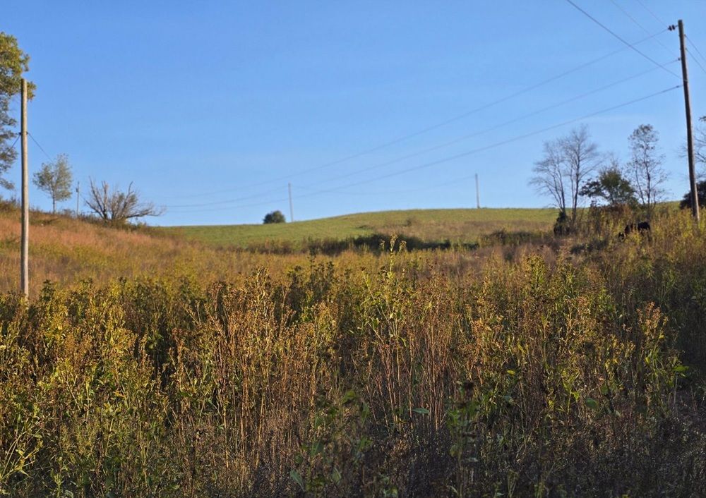 property-image-5