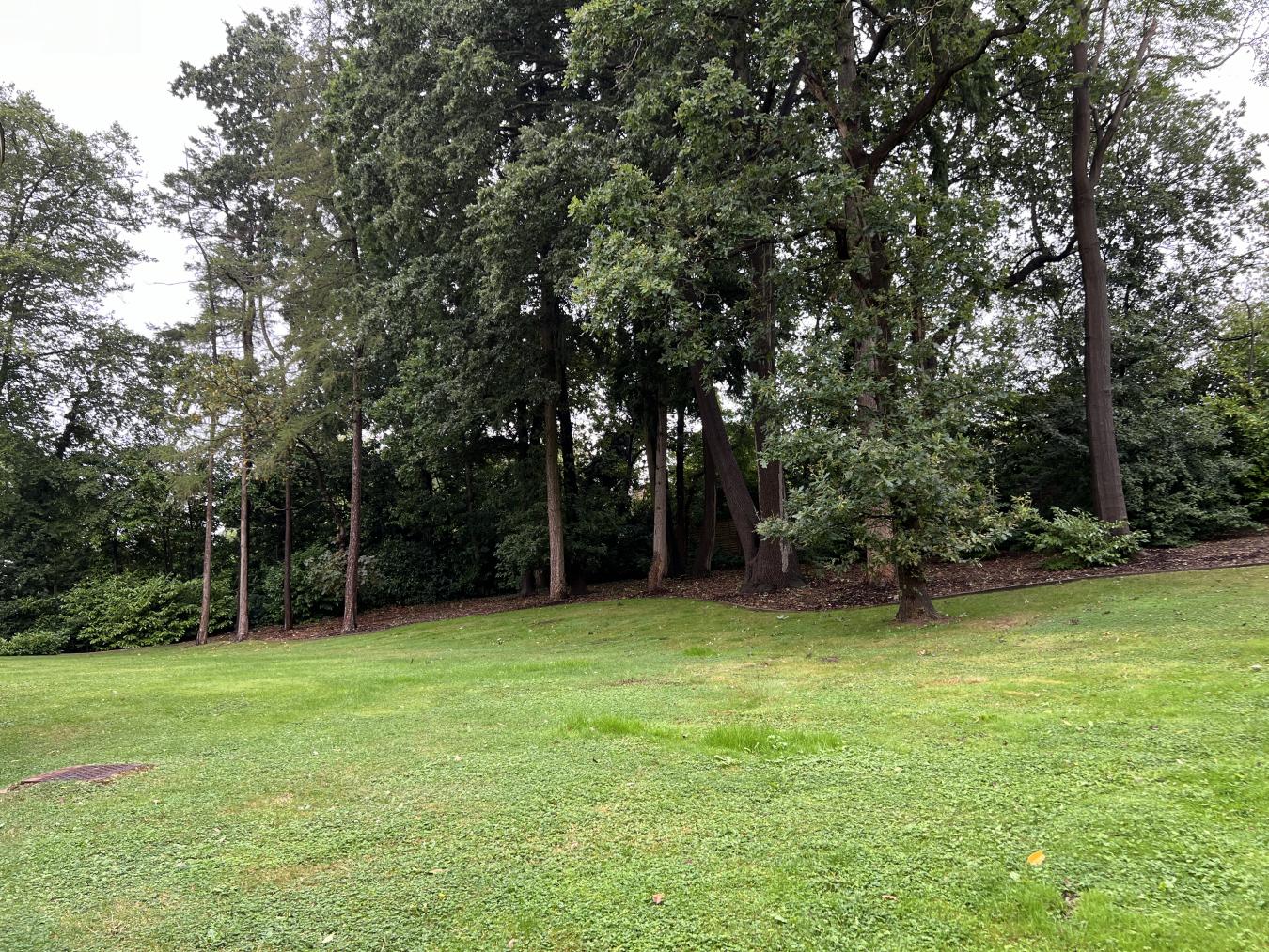 property-image-14