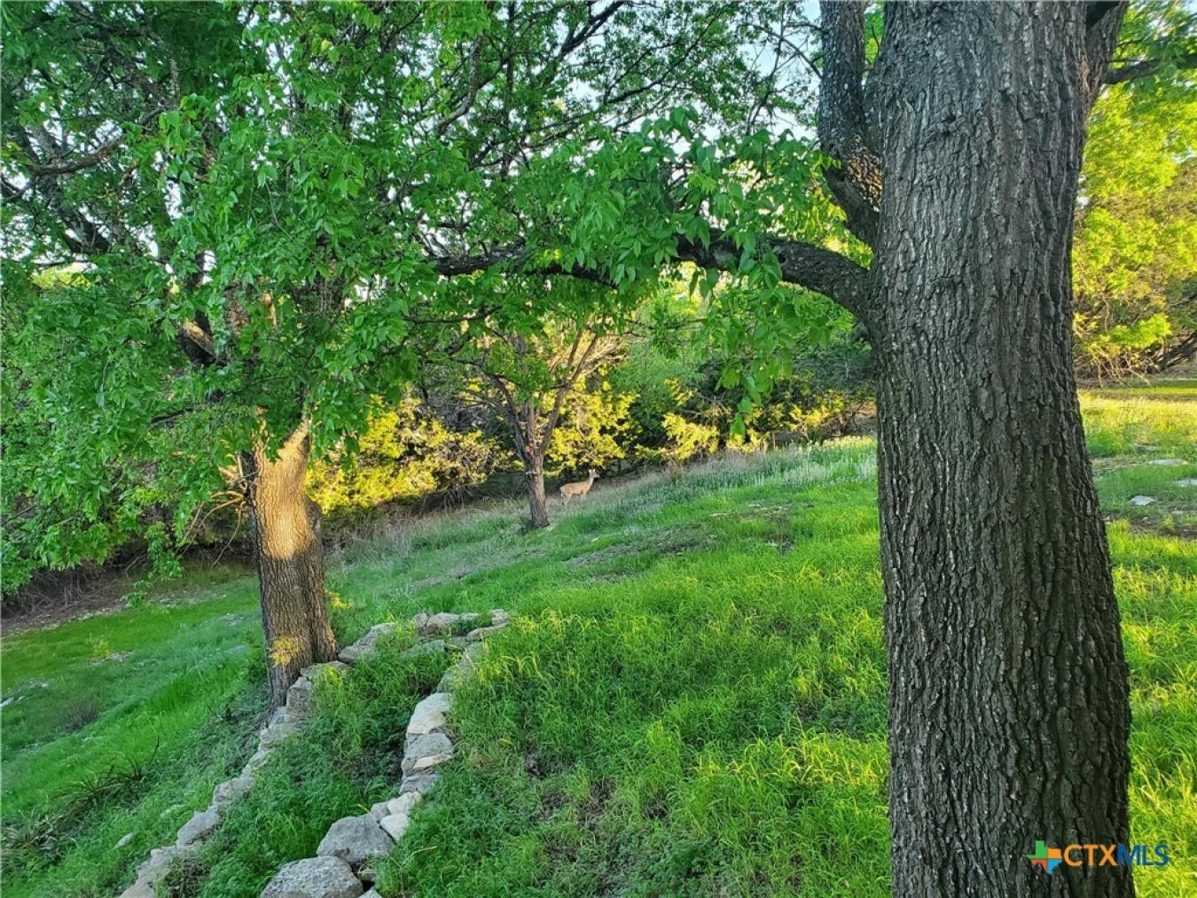 property-image-35