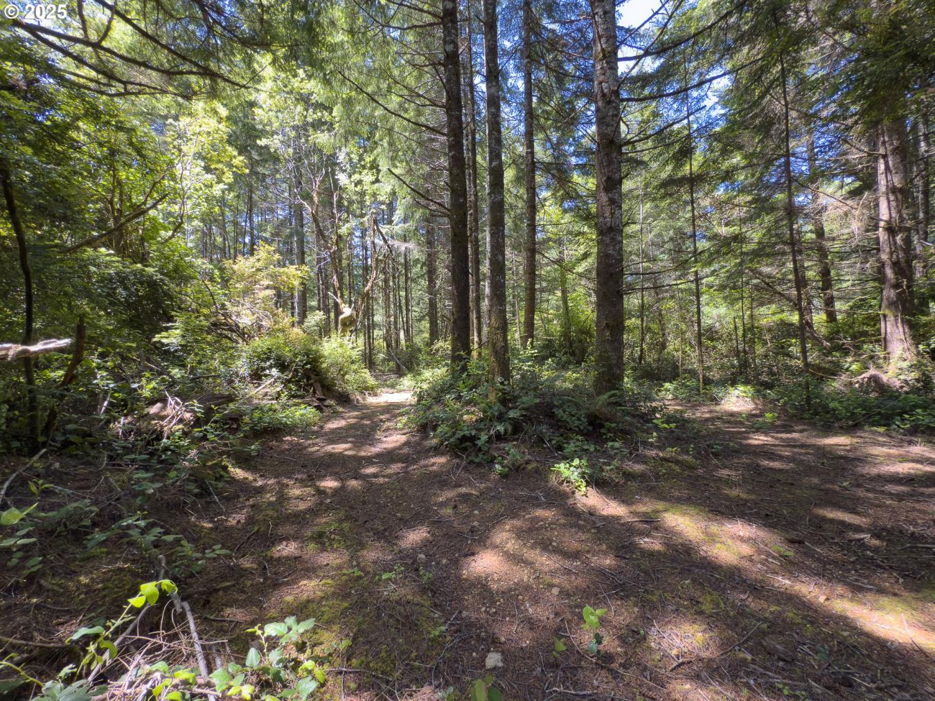 property-image-20