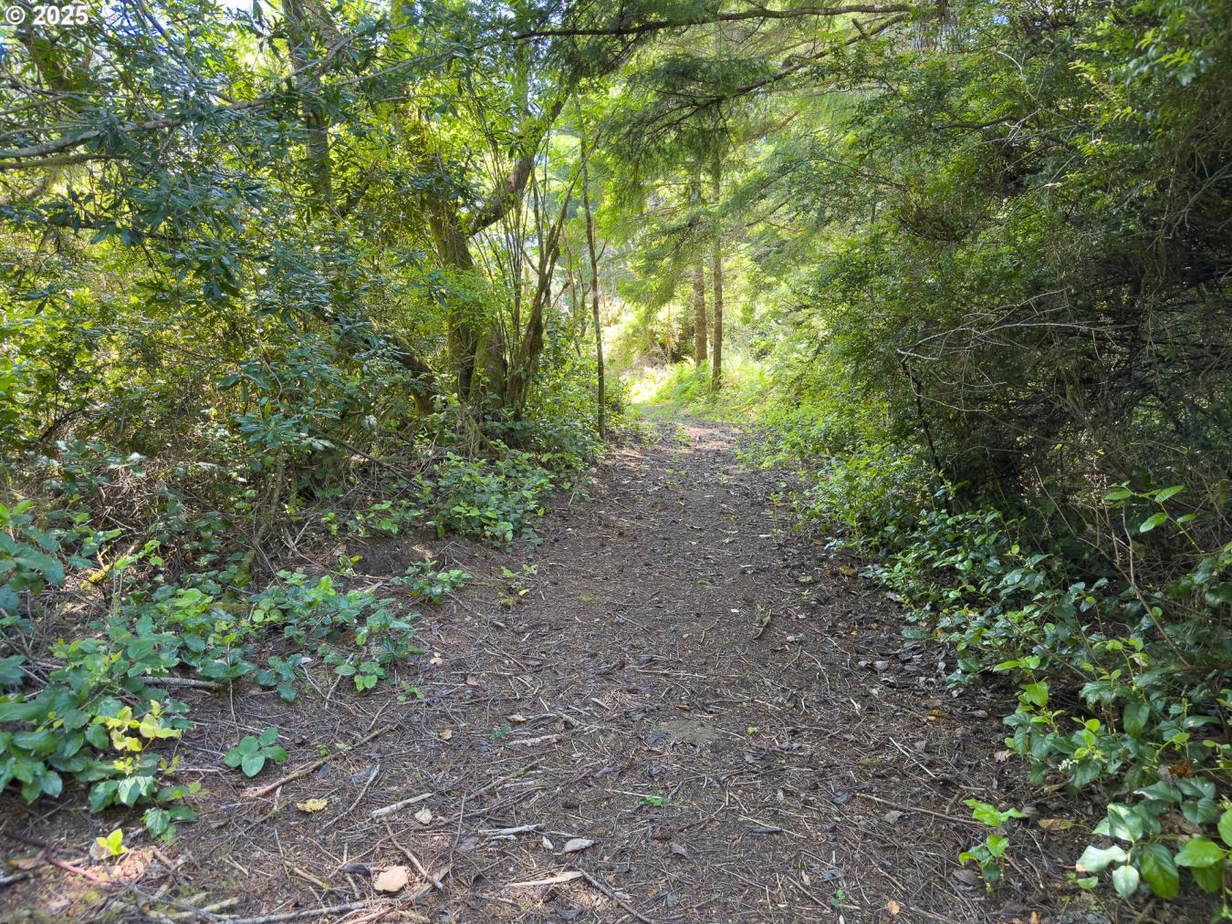 property-image-23