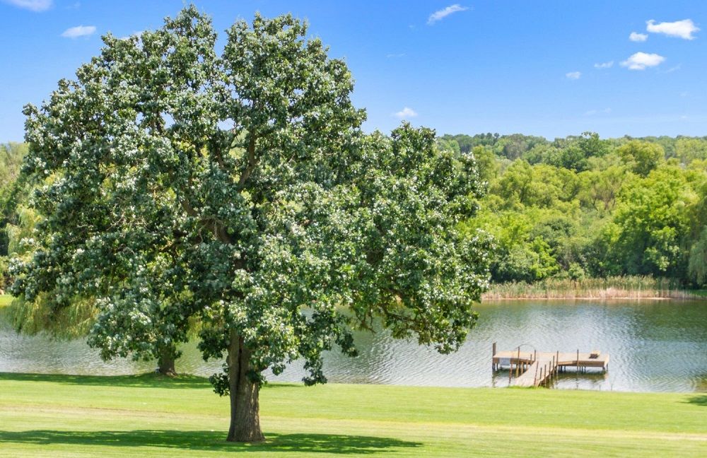 property-image-6