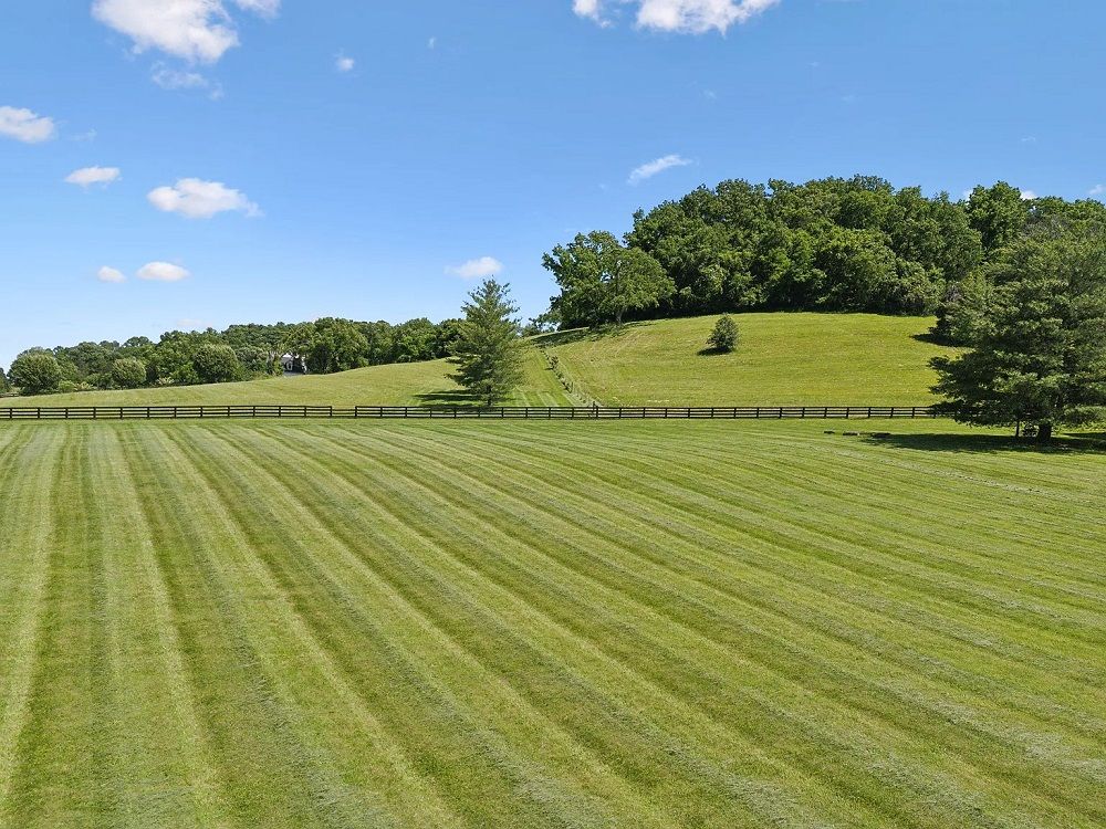 property-image-6