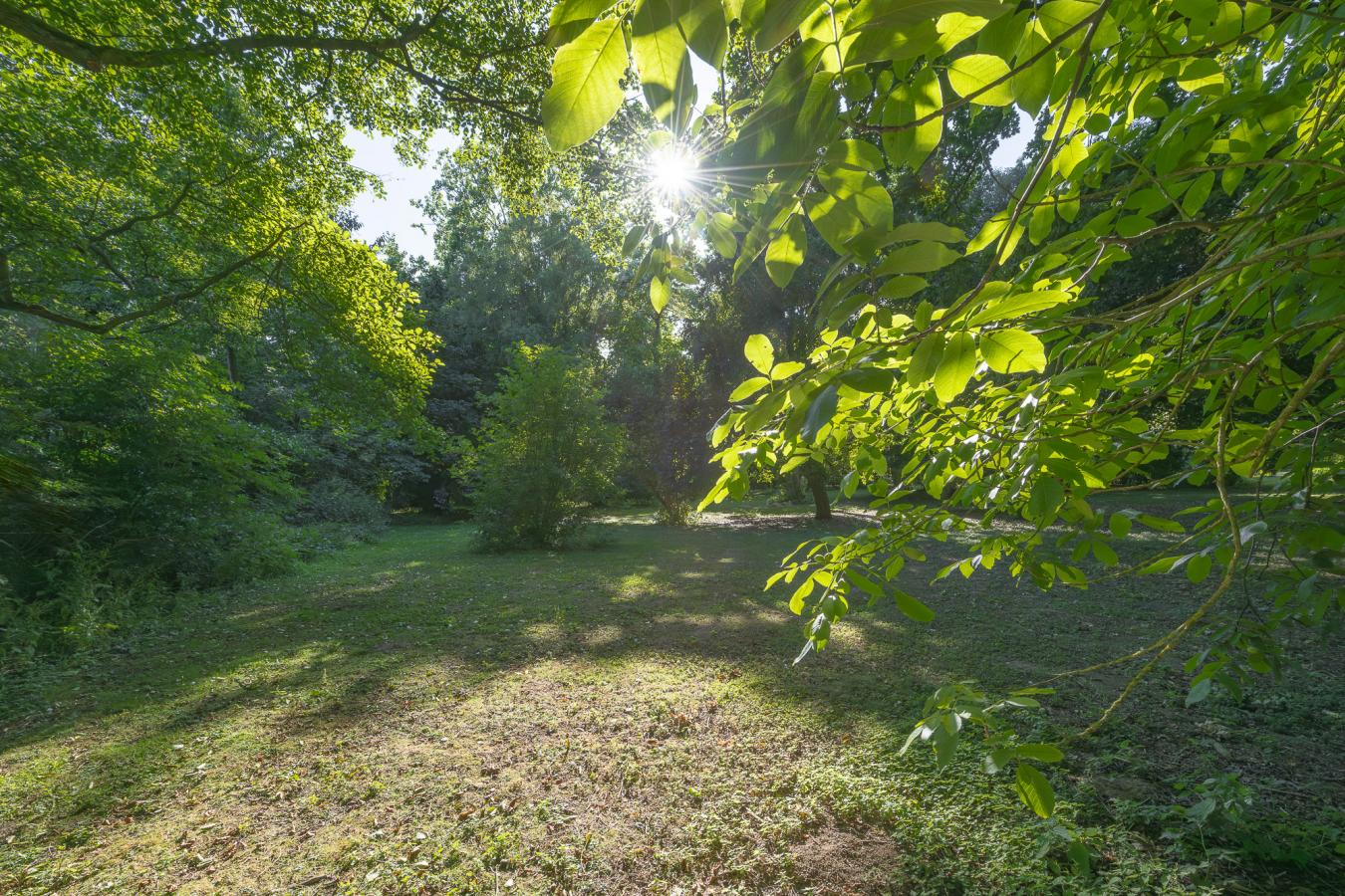 property-image-33