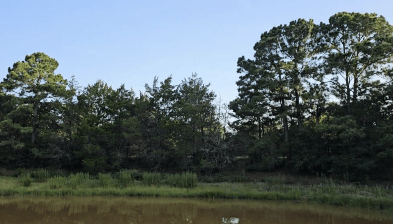 property-image-10
