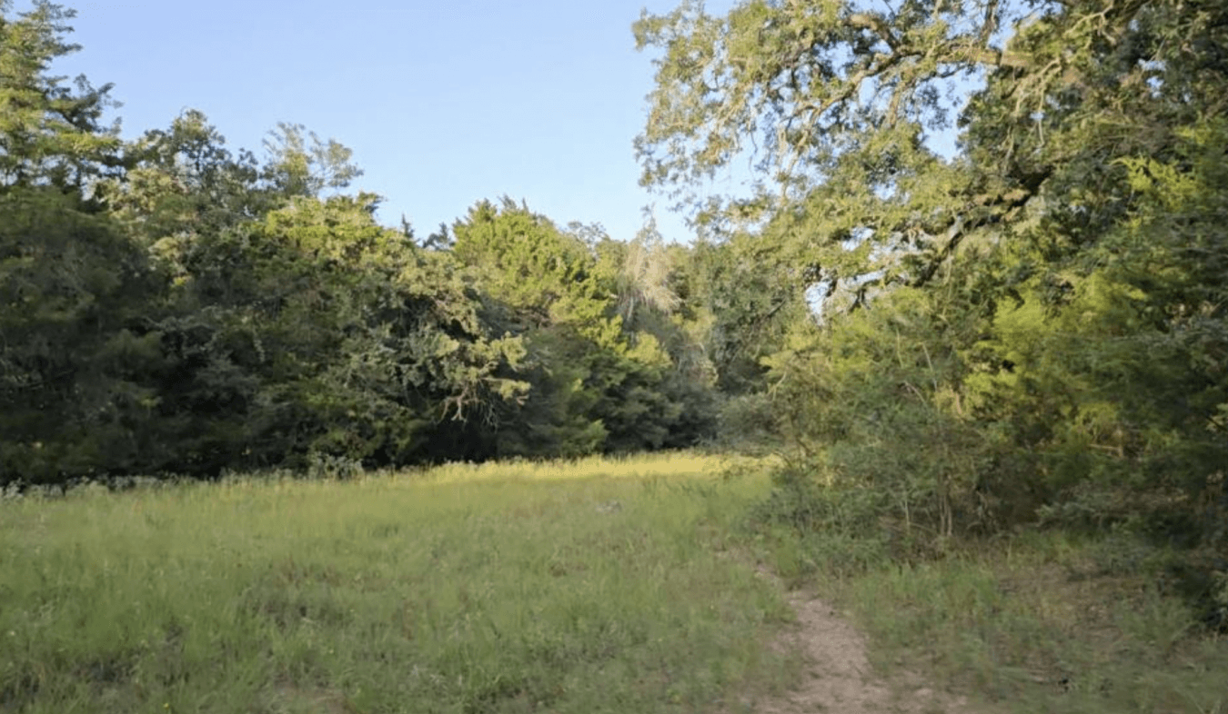 property-image-5